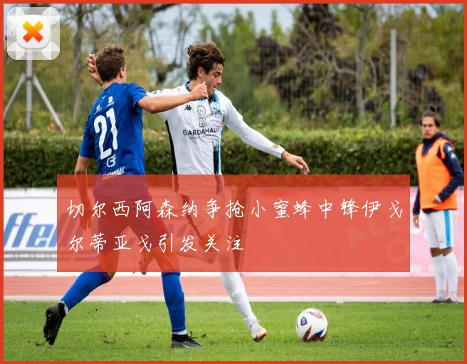 切尔西阿森纳争抢小蜜蜂中锋伊戈尔蒂亚戈引发关注