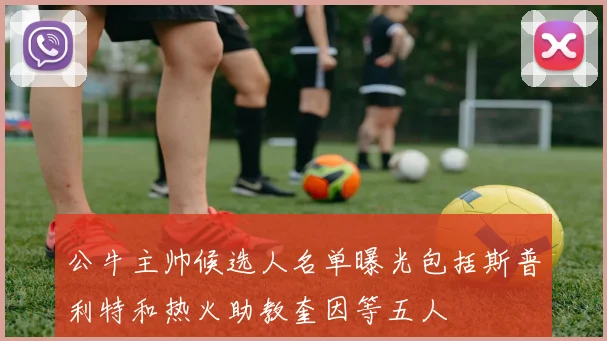 公牛主帅候选人名单曝光包括斯普利特和热火助教奎因等五人