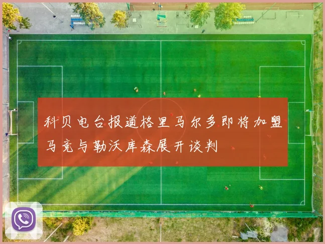 科贝电台报道格里马尔多即将加盟马竞与勒沃库森展开谈判